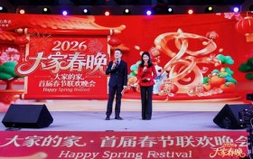 “大家春晚”温情启幕，点亮万家团圆时刻