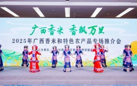 “广西香米”亮相第七届中国粮交会